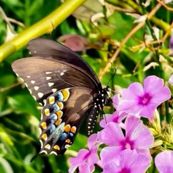 Like it? Make an offer! - Picture 8 of 9